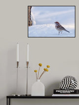 American Tree Sparrow on a Winter Day Poster och Canvastavla