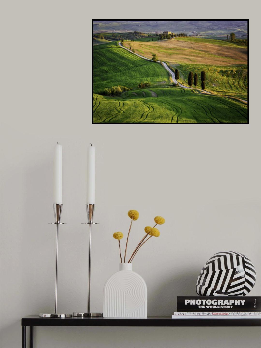 Strade Bianche Poster och Canvastavla