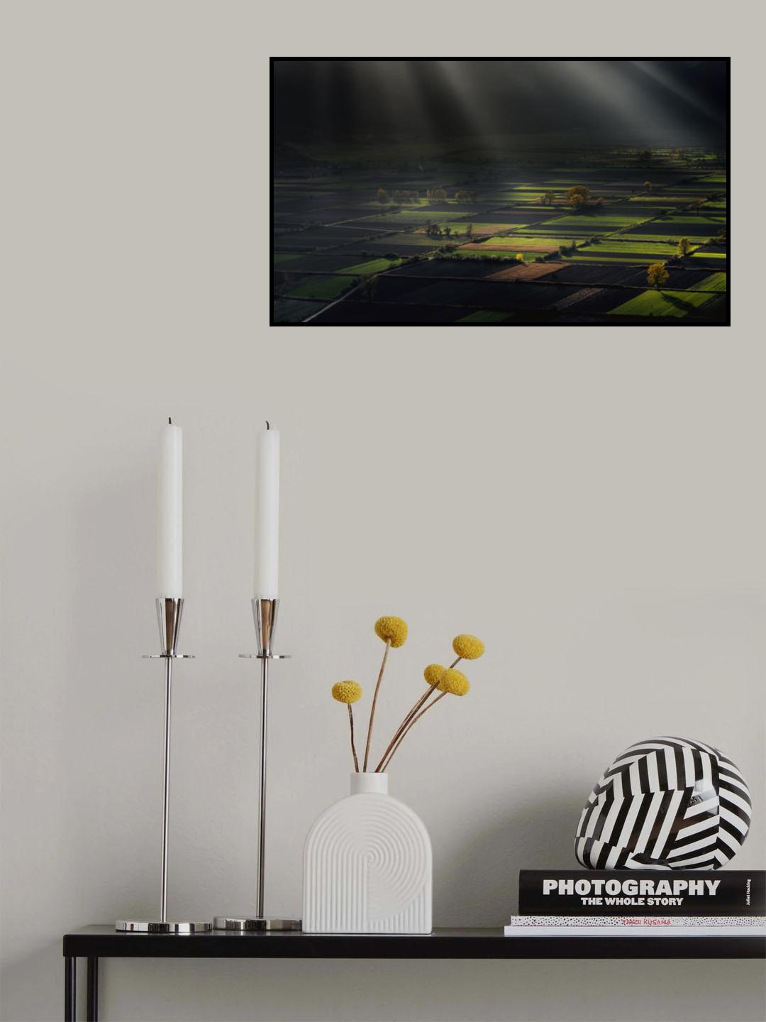 the divine spotlights Poster och Canvastavla