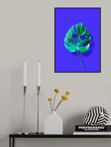 Monstera Poster och Canvastavla