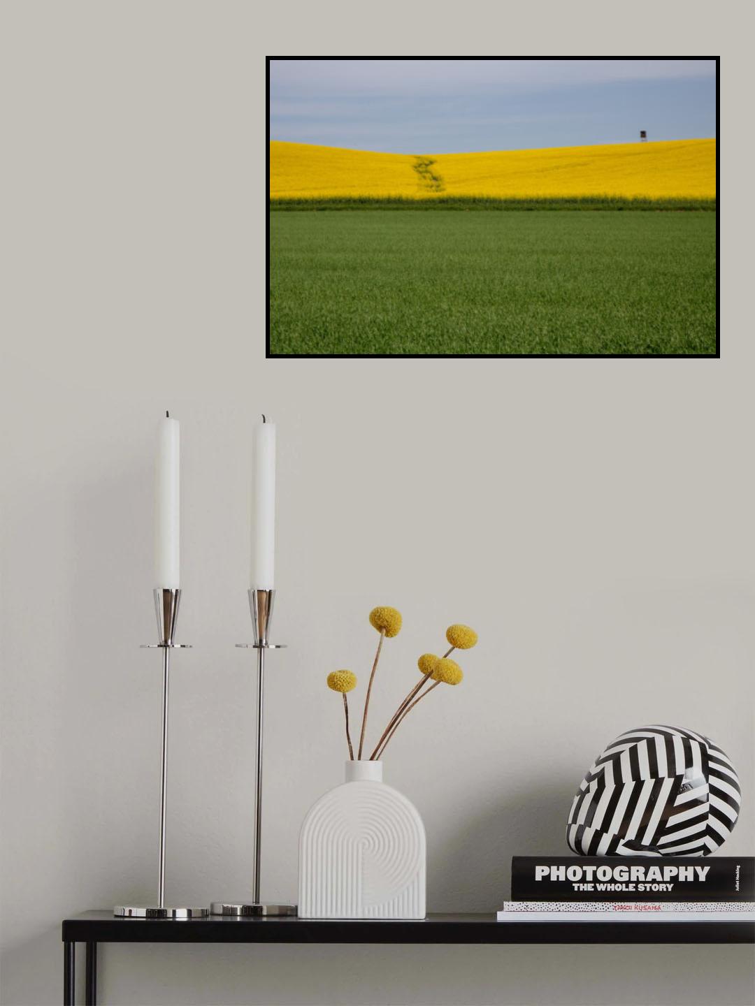 Poster och Canvastavla