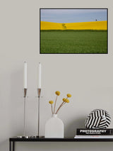 Poster och Canvastavla