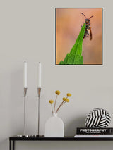 Can’t fall, won’t fall Poster och Canvastavla