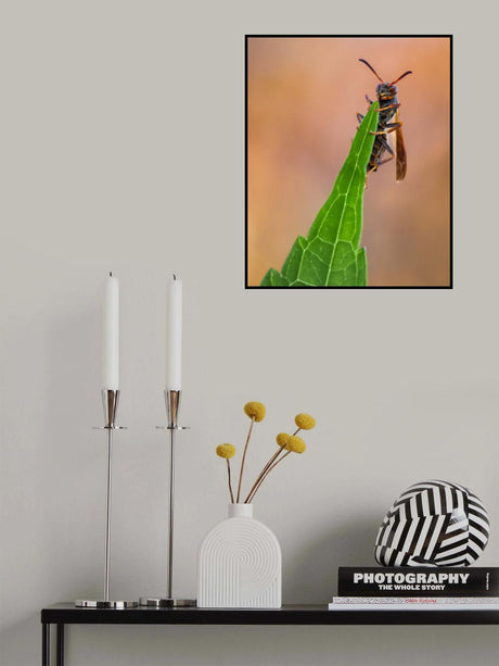 Can’t fall, won’t fall Poster och Canvastavla