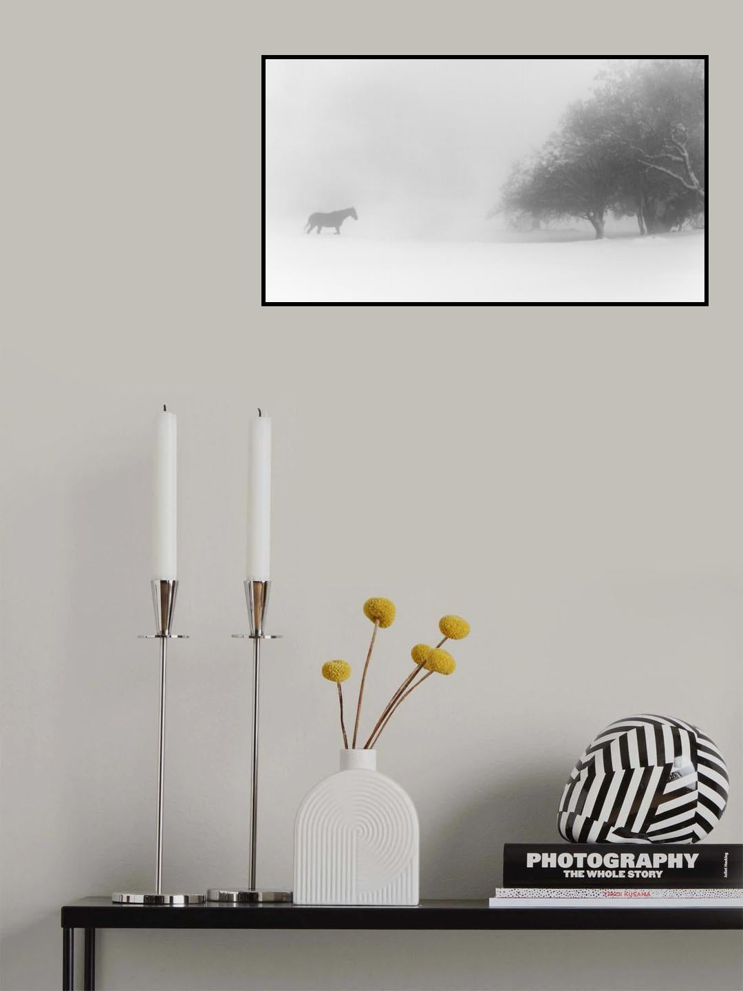 Lone horse Poster och Canvastavla