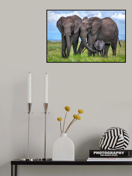New kid in the family Poster och Canvastavla