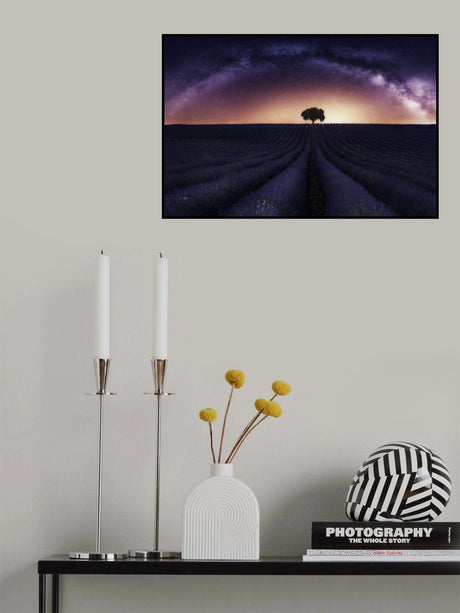 My lavander Poster och Canvastavla