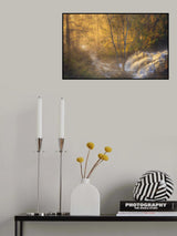 First light Poster och Canvastavla