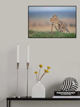 On The Top Poster och Canvastavla