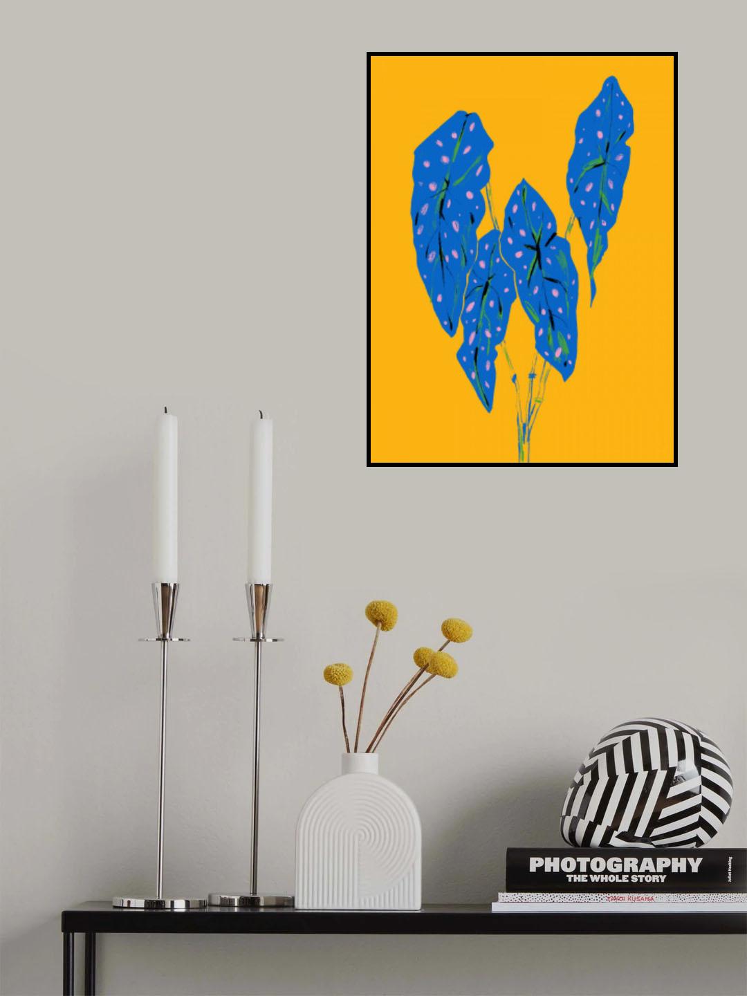 Begonia Maculata Blue and Yellow Poster och Canvastavla