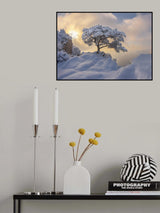 Temptation of the white tree Poster och Canvastavla