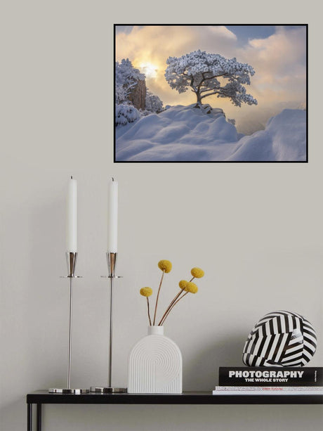 Temptation of the white tree Poster och Canvastavla