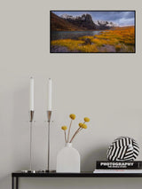 Poster och Canvastavla