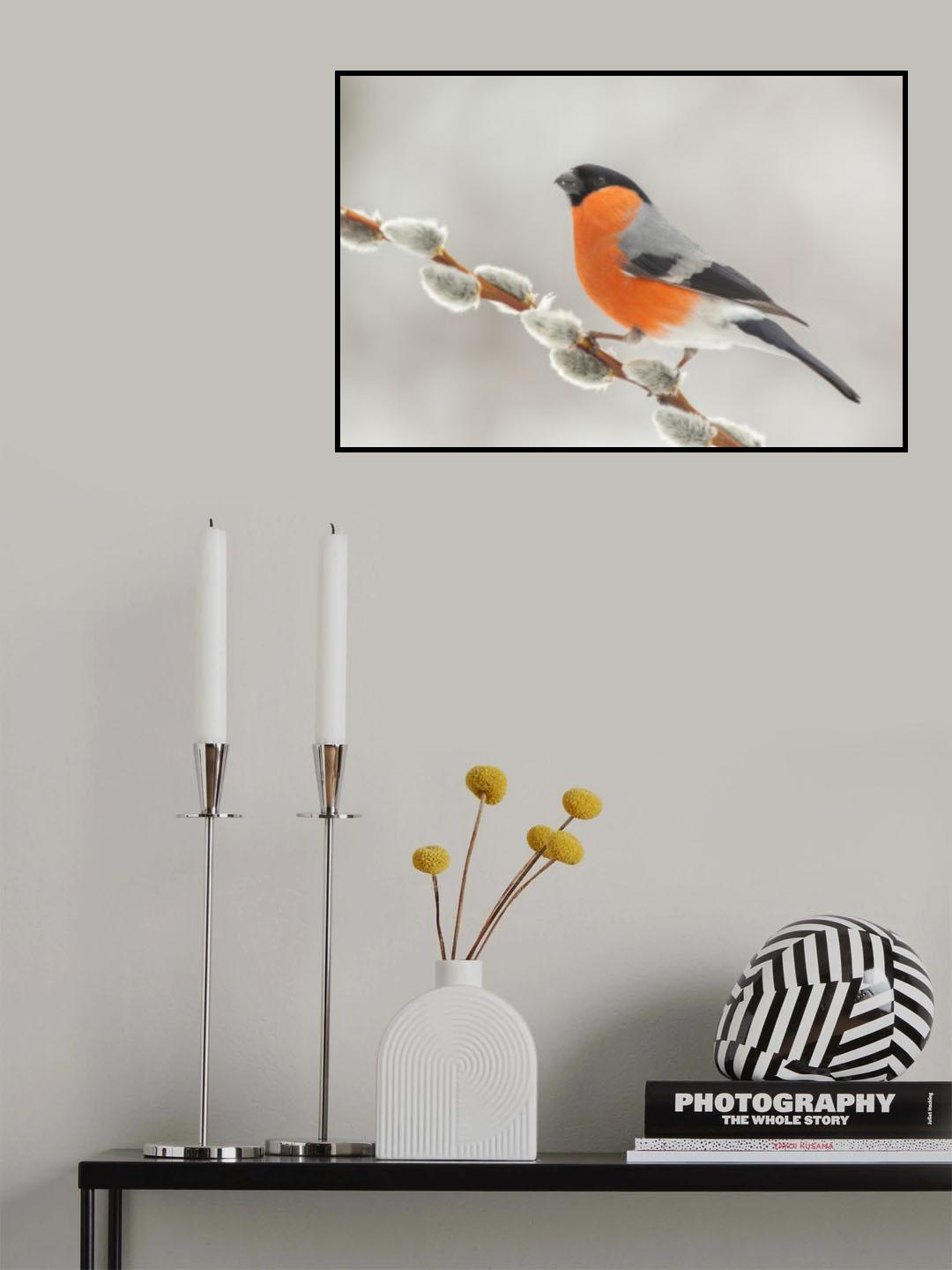 Colorful bird. Poster och Canvastavla