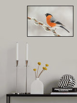 Colorful bird. Poster och Canvastavla