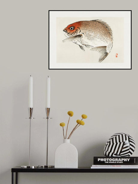 Tai (red Seabream) Fish Poster och Canvastavla