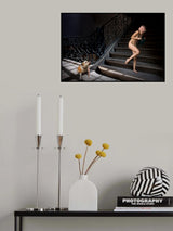 He wants to play only! Poster och Canvastavla