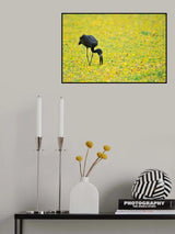 Yellow Pond Poster och Canvastavla