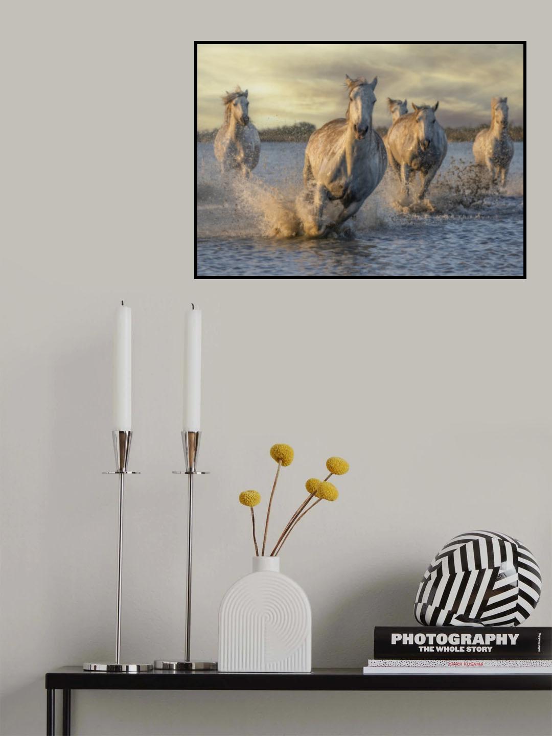 Speeding Poster och Canvastavla