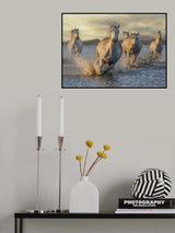 Speeding Poster och Canvastavla