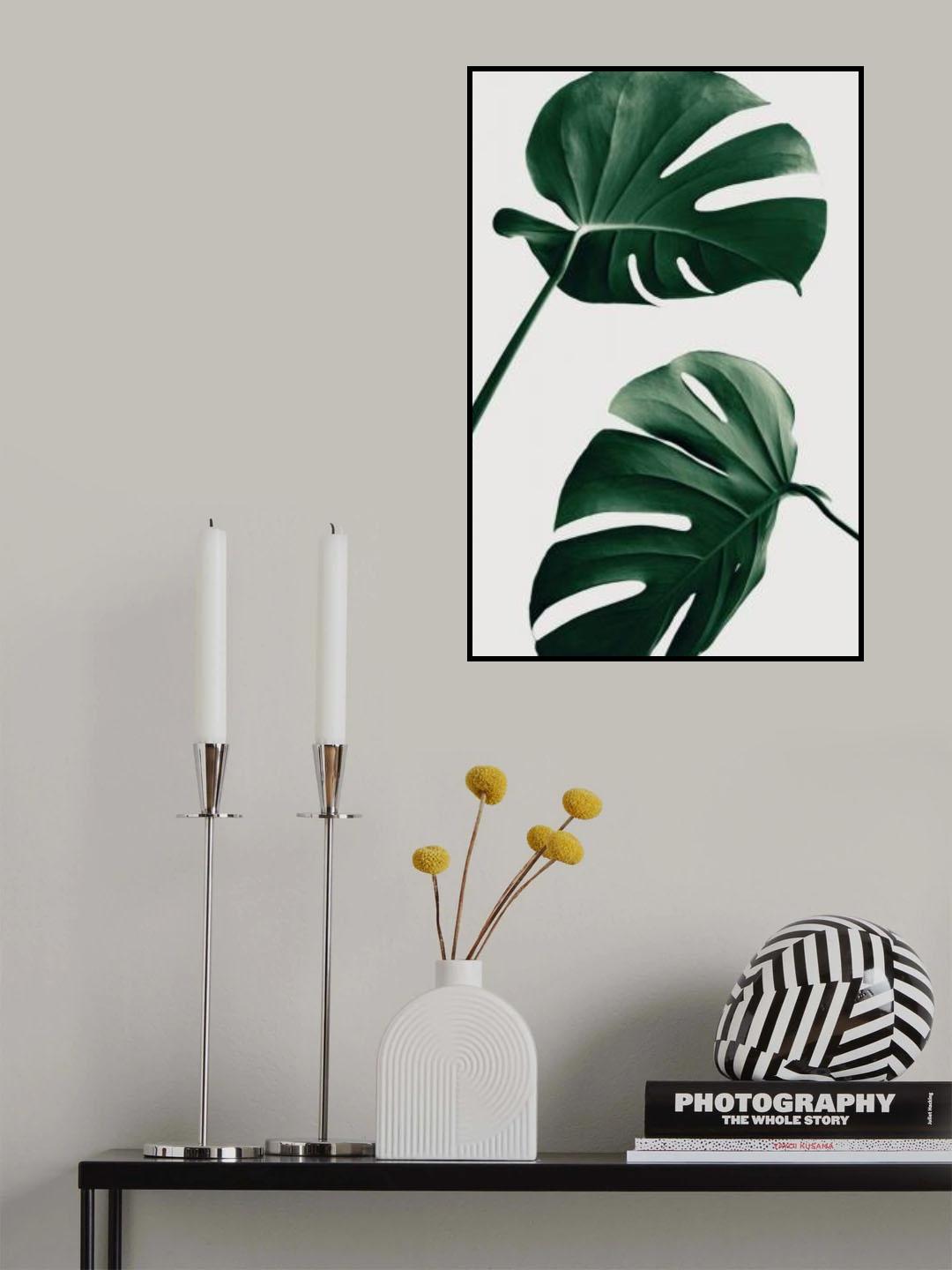 Monstera Natural 46 Poster och Canvastavla