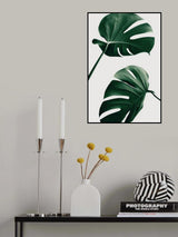 Monstera Natural 46 Poster och Canvastavla