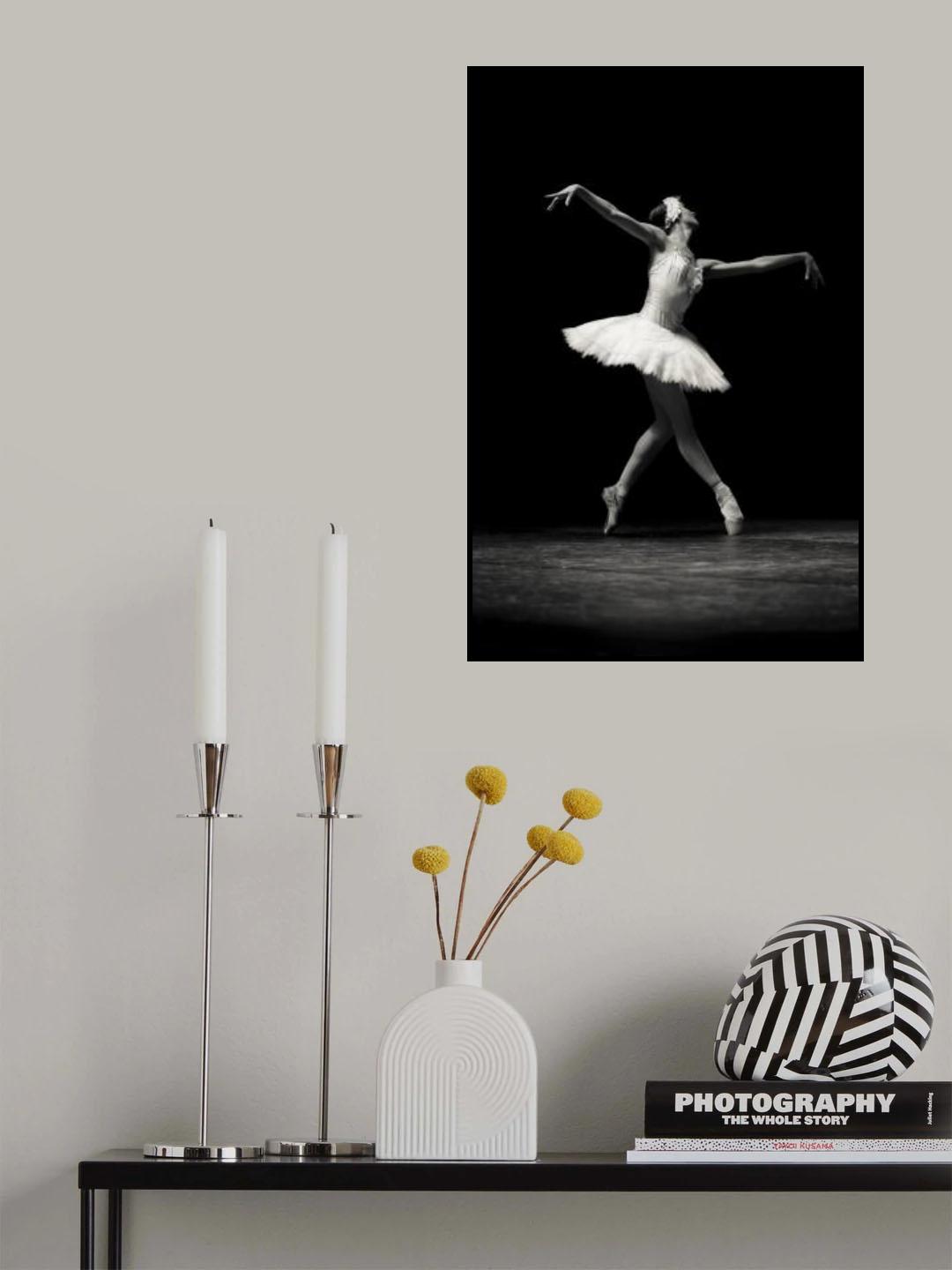 Swan Grace Poster och Canvastavla