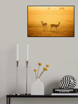 sunrise Poster och Canvastavla