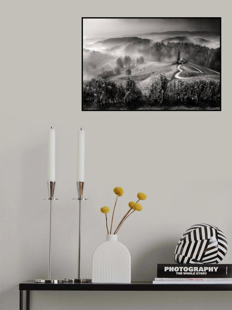 Wine road Poster och Canvastavla