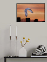 On the hunt Poster och Canvastavla