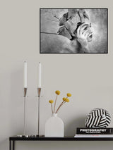 Poster och Canvastavla