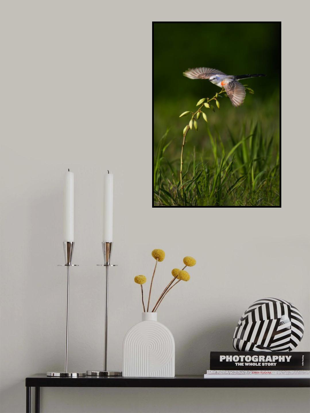 Taking off Poster och Canvastavla