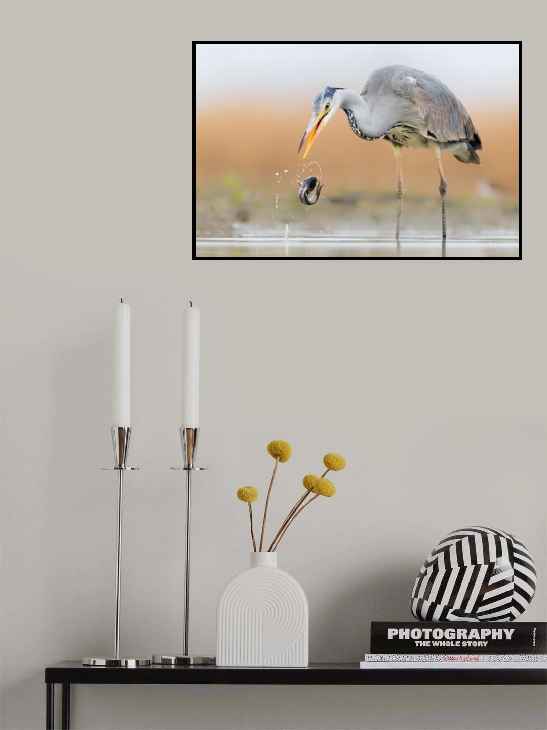 Oops! Poster och Canvastavla
