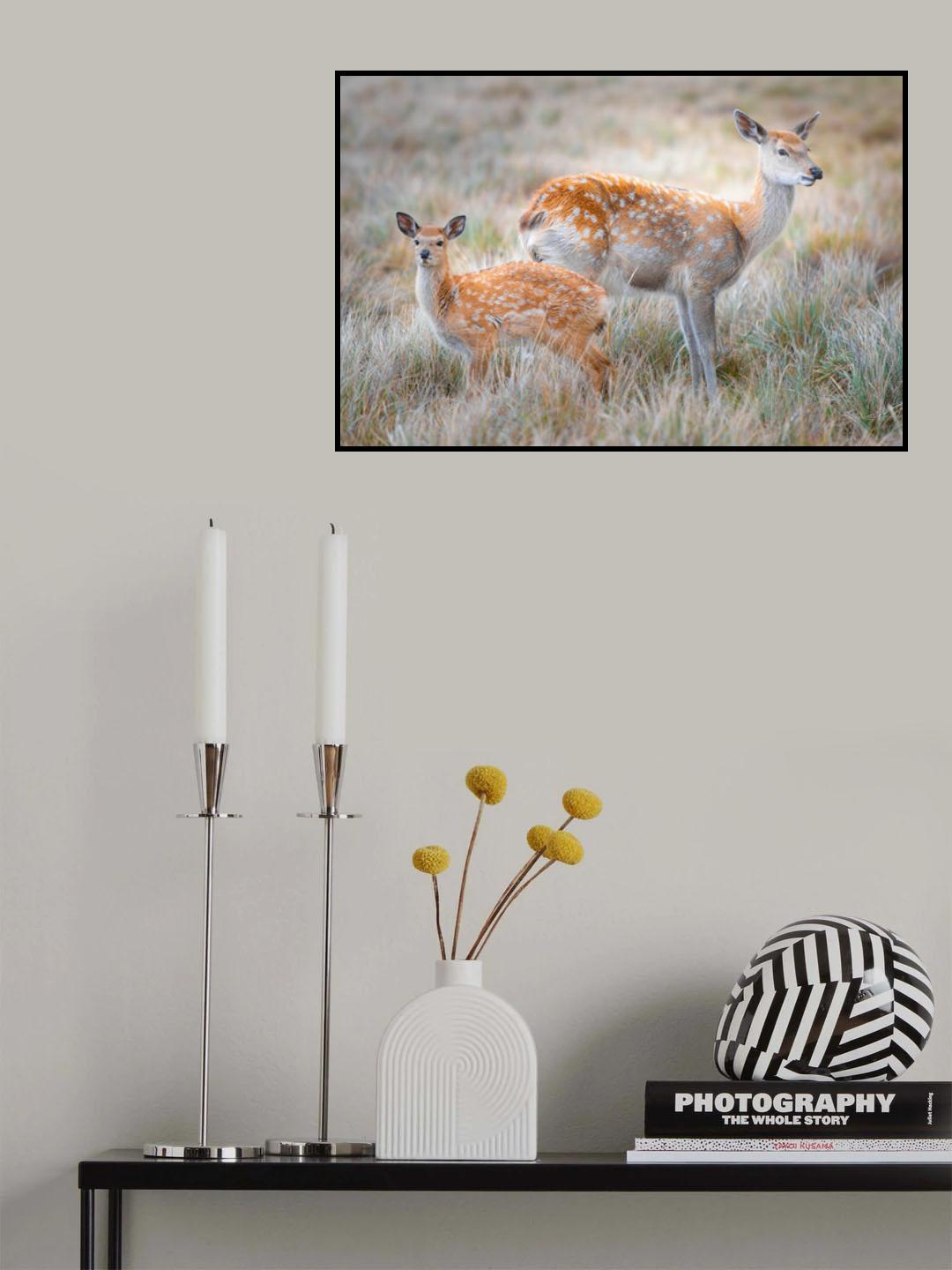 Sika deer Poster och Canvastavla