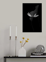 Lotus Flower Poster och Canvastavla