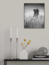 stranded again Poster och Canvastavla