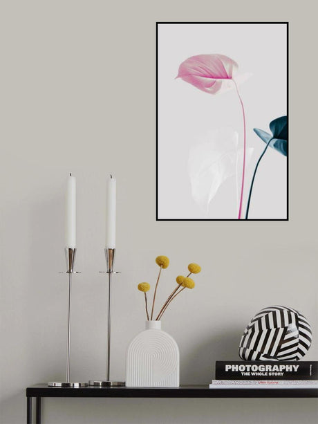 Monstera Creative 24 Poster och Canvastavla