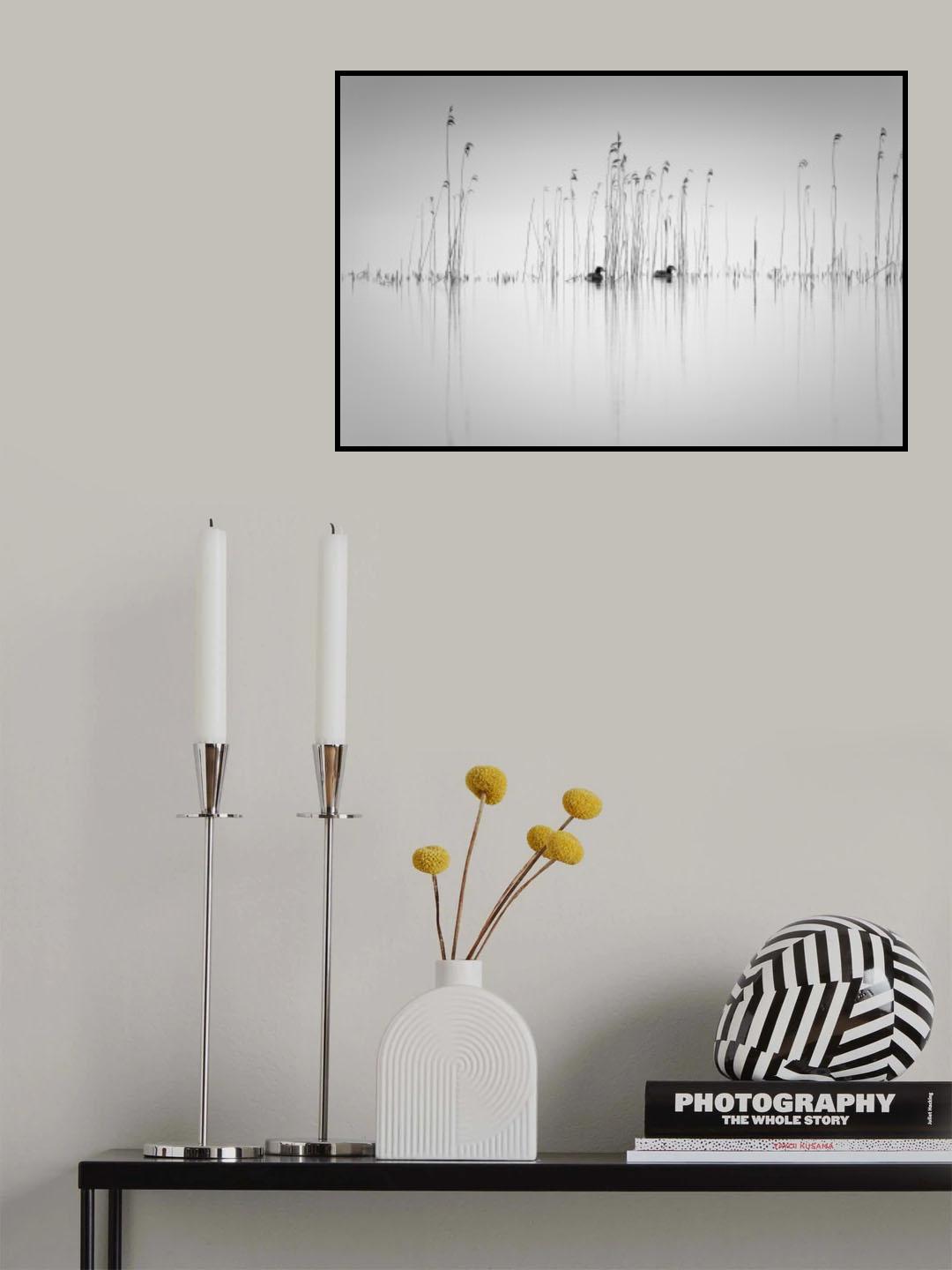 Couple in the reeds Poster och Canvastavla
