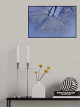 Umbrellas... Poster och Canvastavla