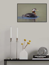 Baby on board Poster och Canvastavla