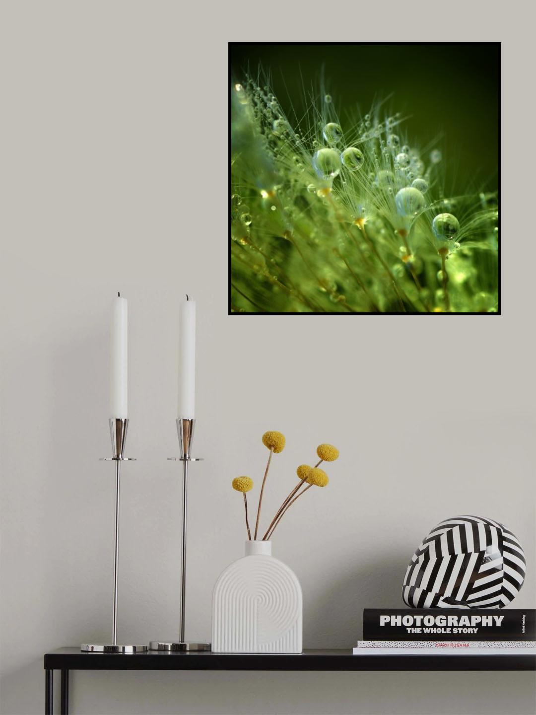 Morning Perls Poster och Canvastavla