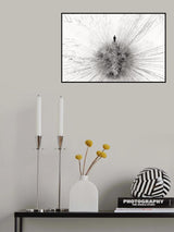 No more chlorophyll Poster och Canvastavla