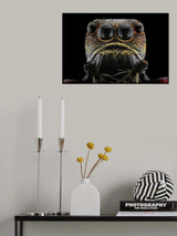-oOOo- Poster och Canvastavla