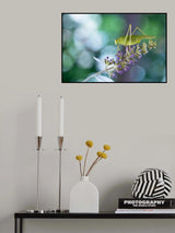 Bubbles Poster och Canvastavla