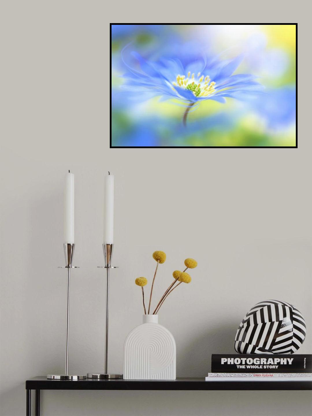 Wind flower Poster och Canvastavla