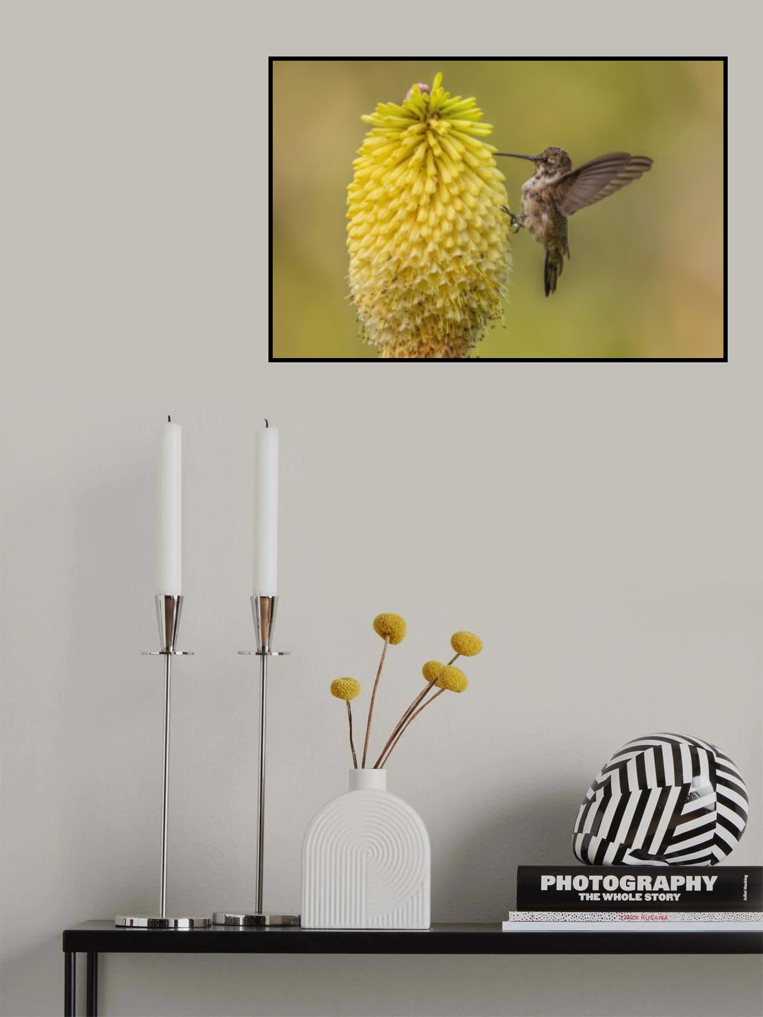 Himmigbird Poster och Canvastavla