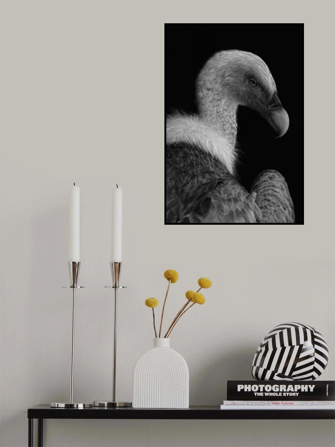 Majestic Poster och Canvastavla