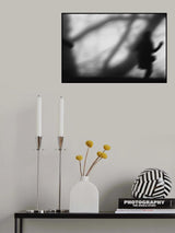 n/t Poster och Canvastavla