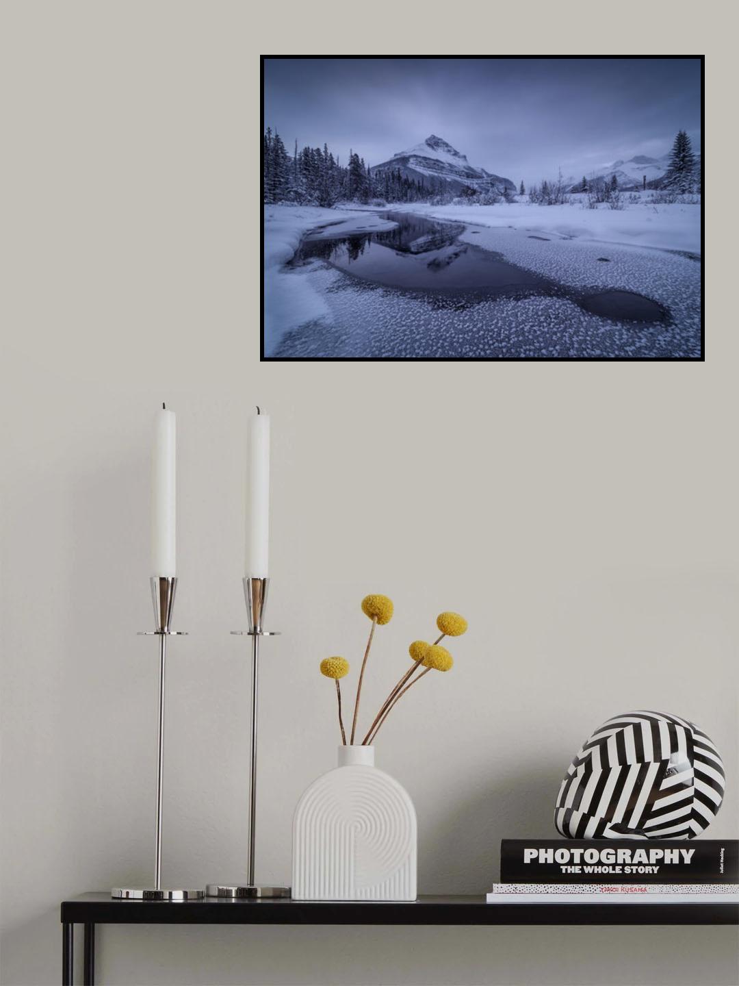 winter paradise Poster och Canvastavla