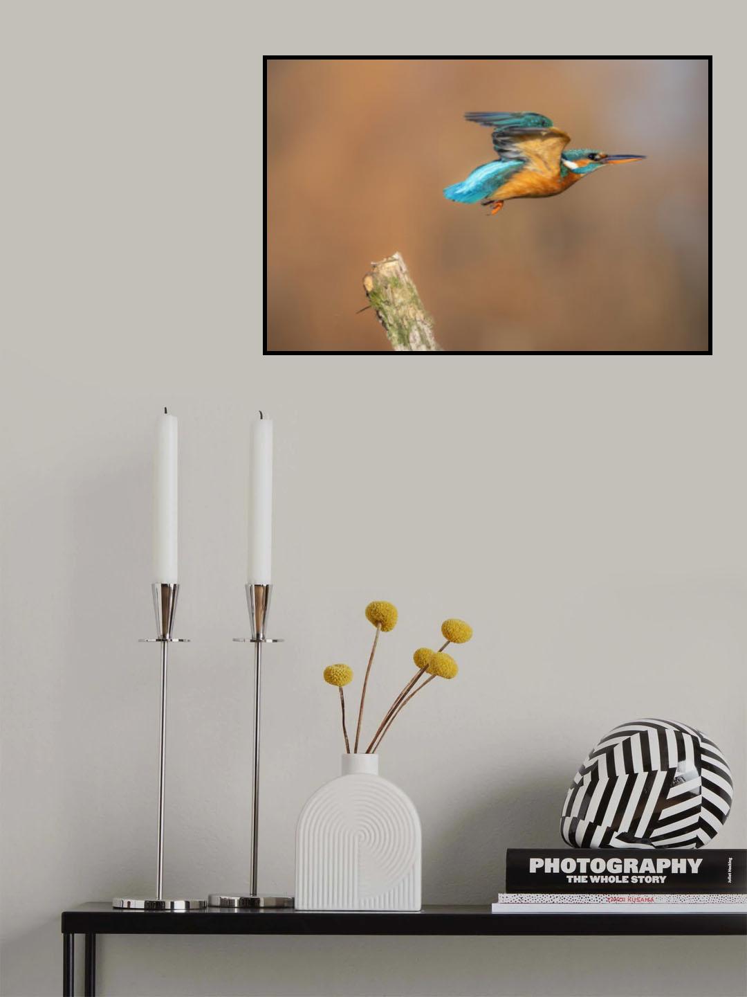 Blue arrow Poster och Canvastavla
